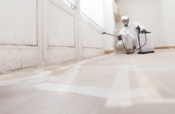 24/7 Emergency Black Mold Remediation experts in Crystal Beach, FL