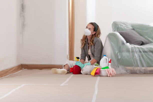 Reliable Black Mold Remediation contractor in Crystal Beach, FL by Mold Remediation HQ